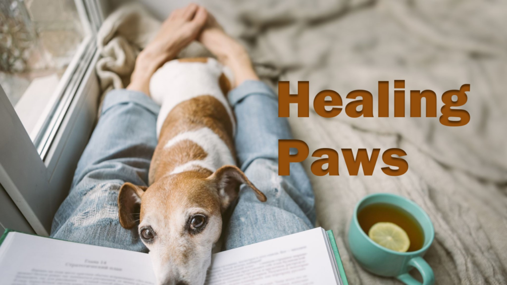 The Healing Power of Dogs: How They Improve Wellness, Mental Health, and Emotional Healing